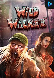 Bocoran RTP wild walker di Bukti Jackpot Bento188 Situs Slot Gacor