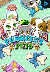 Bocoran RTP Perfect Pets di Bukti Jackpot Bento188 Situs Slot Gacor