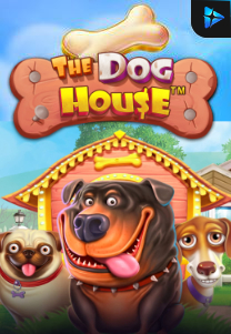 Bocoran RTP The Dog House di Bukti Jackpot Bento188 Situs Slot Gacor