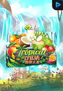 Bocoran RTP Tropical Crush di Bukti Jackpot Bento188 Situs Slot Gacor