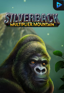 Bocoran RTP Silverback Multiplier Mountain foto di Bukti Jackpot Bento188 Situs Slot Gacor