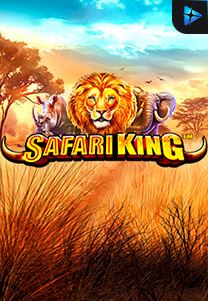 Bocoran RTP Safari King di Bukti Jackpot Bento188 Situs Slot Gacor