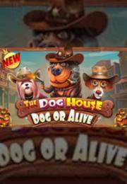 Bocoran RTP The Dog House – Dog or Alive di Bukti Jackpot Bento188 Situs Slot Gacor