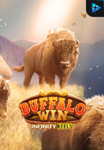 Bocoran RTP Buffalo Win Infinity Reels di Bukti Jackpot Bento188 Situs Slot Gacor