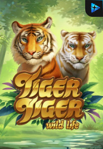 Bocoran RTP Tiger Tiger Wild Life di Bukti Jackpot Bento188 Situs Slot Gacor