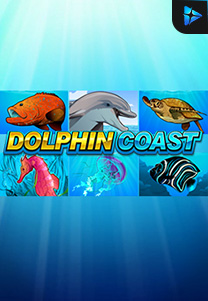 Bocoran RTP Dolphin Coast Microgaming di Bukti Jackpot Bento188 Situs Slot Gacor