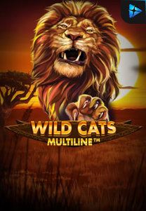 Bocoran RTP Wild Cat Multiline di Bukti Jackpot Bento188 Situs Slot Gacor