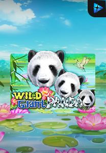 Bocoran RTP Wild Giant Panda di Bukti Jackpot Bento188 Situs Slot Gacor