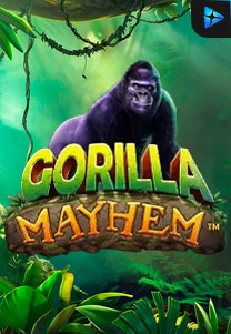 Bocoran RTP Gorilla Mayhem di Bukti Jackpot Bento188 Situs Slot Gacor