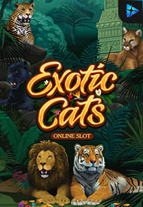 Bocoran RTP exoticcats di Bukti Jackpot Bento188 Situs Slot Gacor