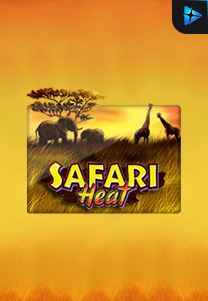 Bocoran RTP Safari Heat di Bukti Jackpot Bento188 Situs Slot Gacor